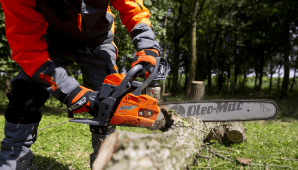 Cursos Motosierra Cursos Motosierra